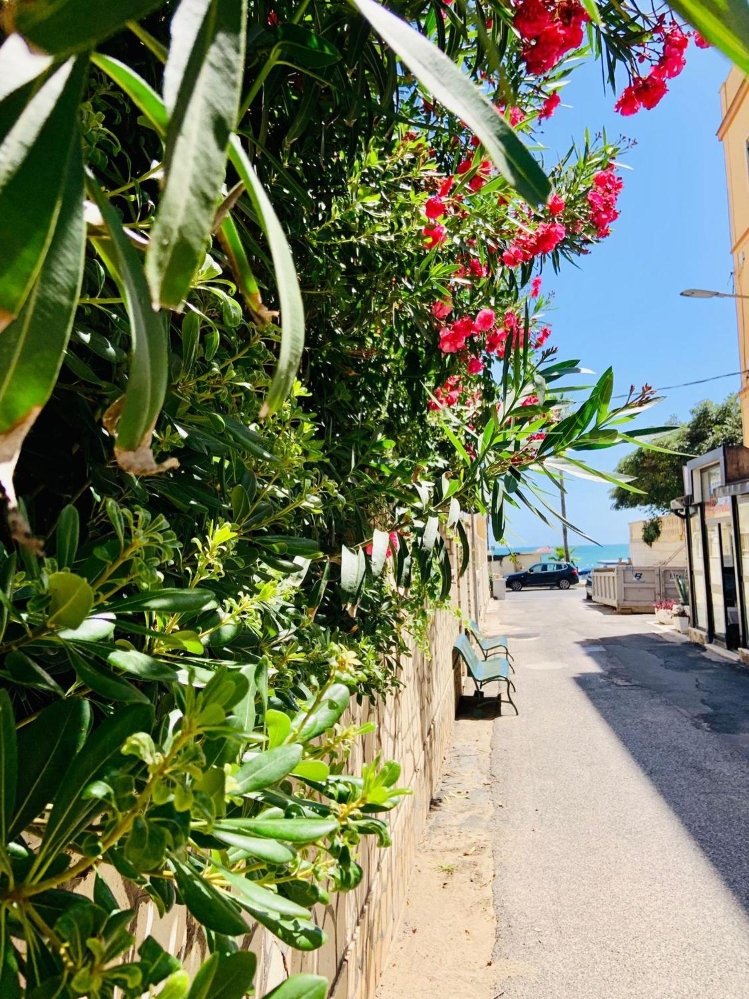 La Casina Sul Porto Appartamento Anzio Esterno foto
